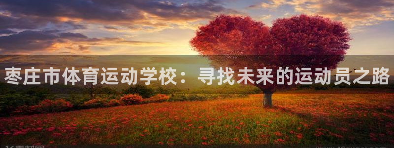凯发官方正版app集团E.ON：枣庄市体育运动学校：