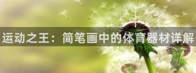 凯发官网下载娱乐：运动之王：简笔画中的体育器材详解