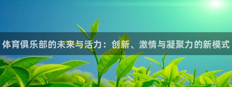 凯发官方正版app新能源：体育俱乐部的未来与活力：创