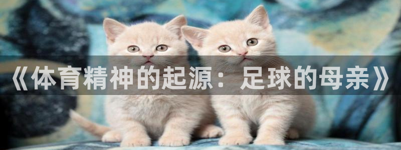 凯发官网下载招商电话地址是多少：《体育精神的起源：足