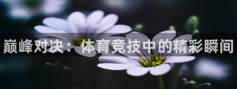 凯发官网下载招商电话号码是多少号：巅峰对决：体育竞技