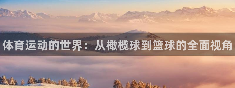 凯发官方集团官网：体育运动的世界：从橄榄球到篮球的全面视角