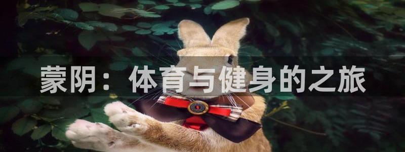 德国凯发官方正版app集团：蒙阴：体育与健身的之旅