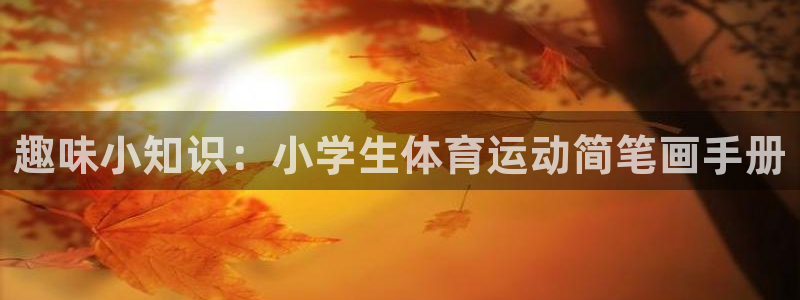 凯发官方正版app开户：趣味小知识：小学生体育运动简笔画手册