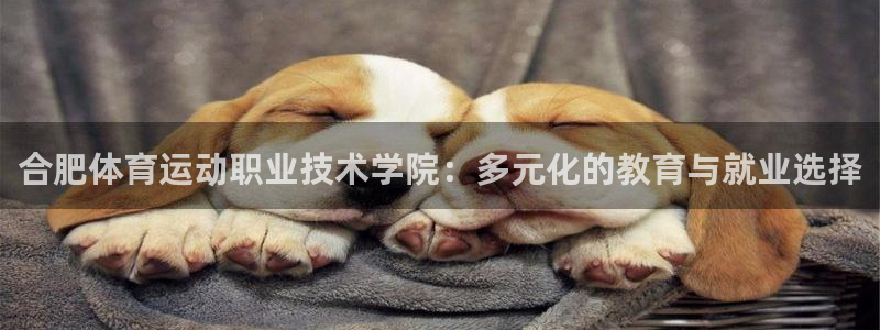 凯发官网下载招商电话是多少号码：合肥体育运动职业技术学院：多
