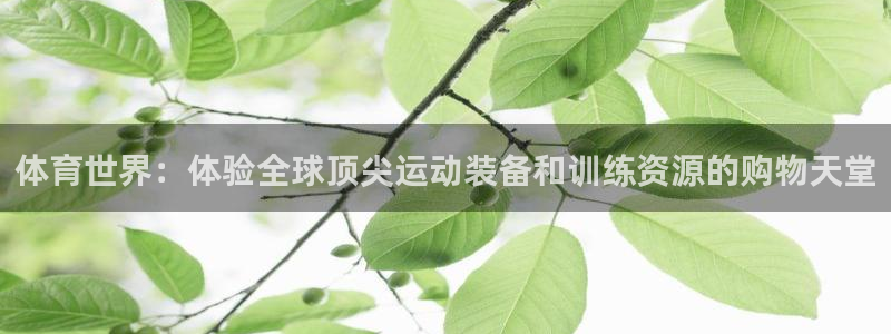 凯发官方正版app娱乐平台：体育世界：体验全球顶尖运动装备和