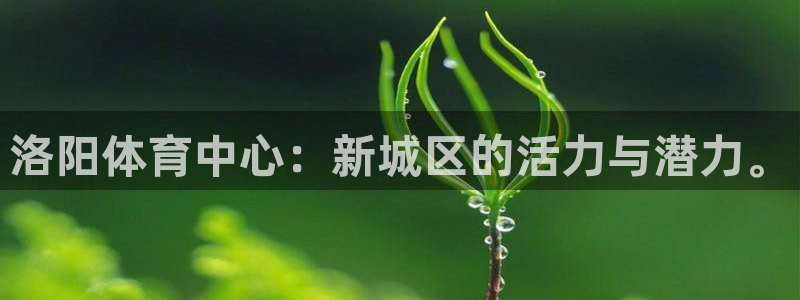 凯发官网下载平台是正规平台吗：洛阳体育中心：新城区的活力与潜