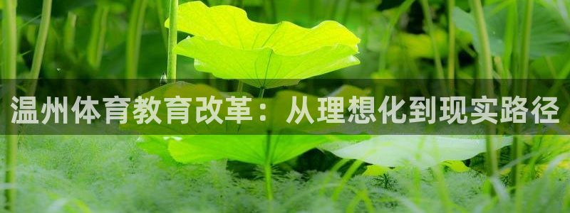 凯发官网下载平台注册流程图：温州体育教育改革：从理想