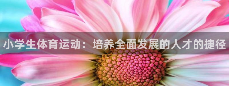 凯发官方正版app新能源：小学生体育运动：培养全面发展的人才
