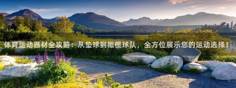 凯发官方正版app娱乐首页网站大全：体育运动器材全攻