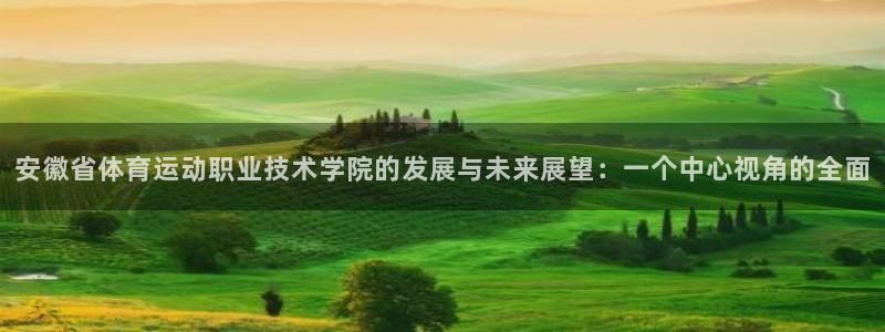 凯发官方正版app娱乐网站：安徽省体育运动职业技术学
