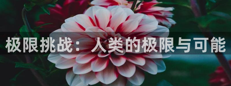 凯发官网下载联系电话：极限挑战：人类的极限与可能