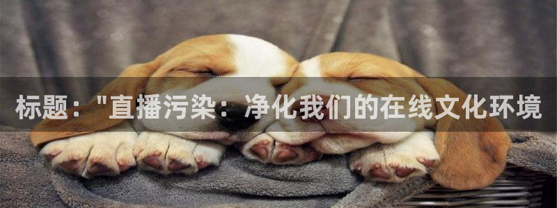 新球体育比分网：标题：\