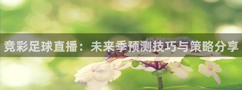 新球：竞彩足球直播：未来季预测技巧与策略分享