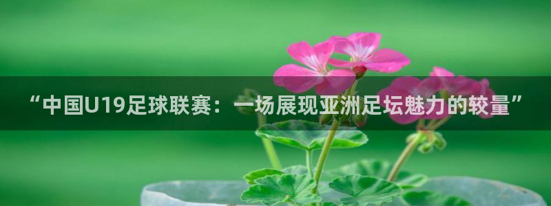 新球体育篮球比分：“中国U19足球联赛：一场展现亚洲足坛魅力的较量”